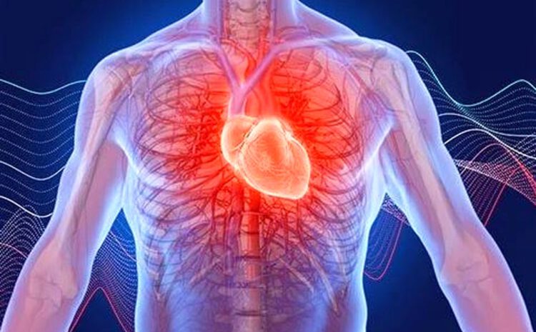  علائم و فاکتورهای خطر سکته قلبی، هشدارهای بدن خود را جدی بگیرید